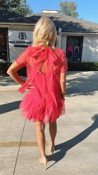 Organza Bow Mini Dress