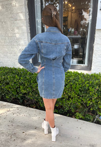 Denim Button Front Dress