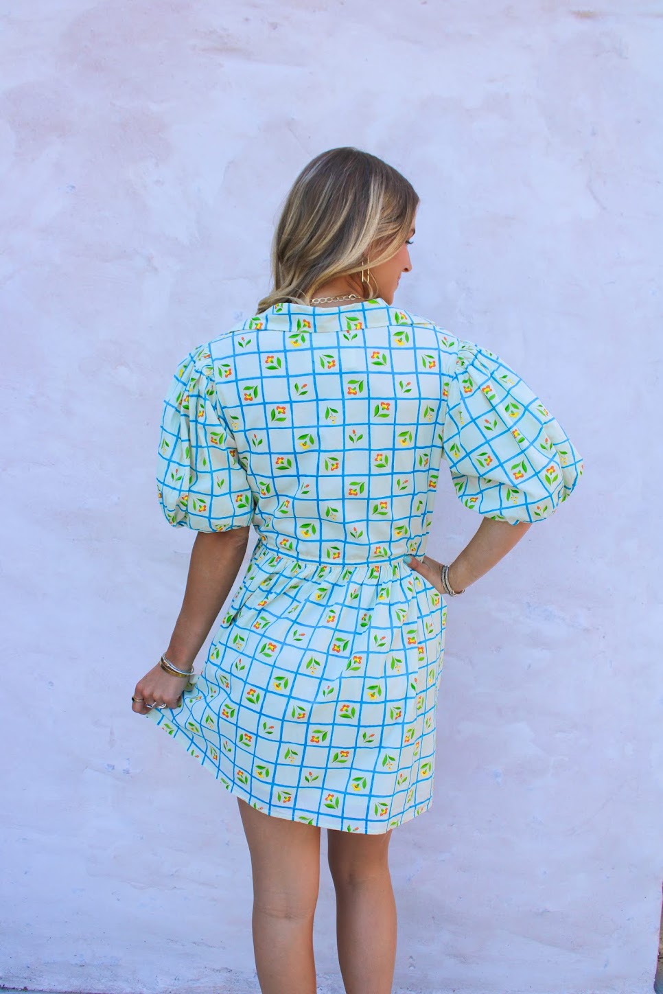 Daphne Dress - Trellis