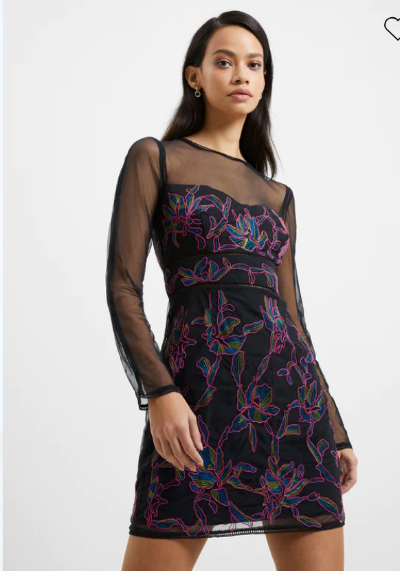 Emilia Embroidered Mini Dress