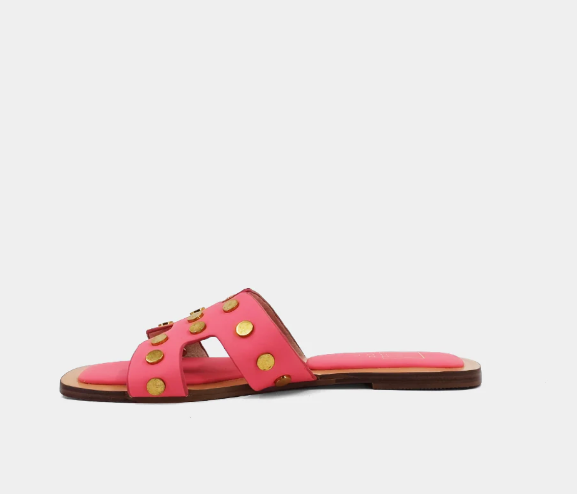 Donatella Slides- Coral