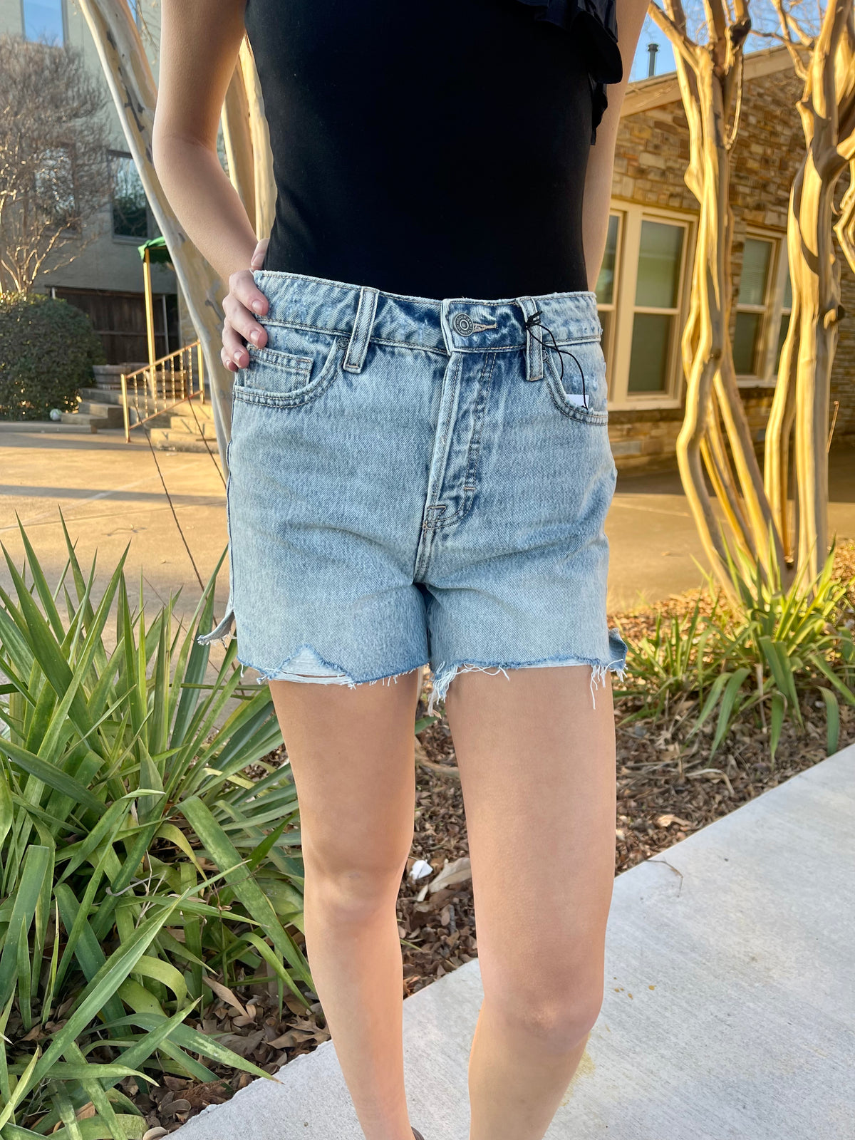 Hidden Mom Shorts