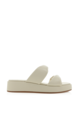 Cory Sandal